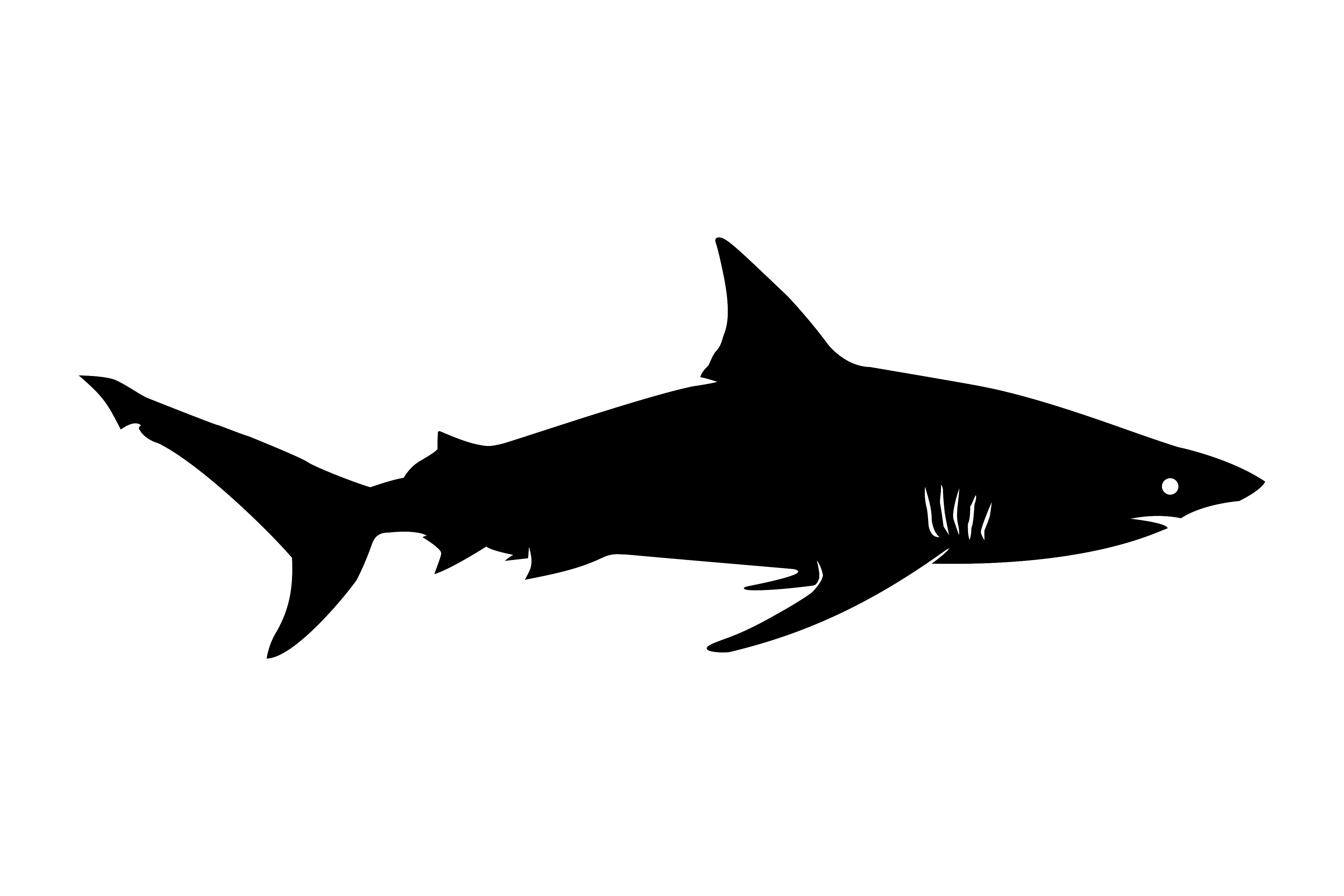 BLACK TIP SHARK FLAG