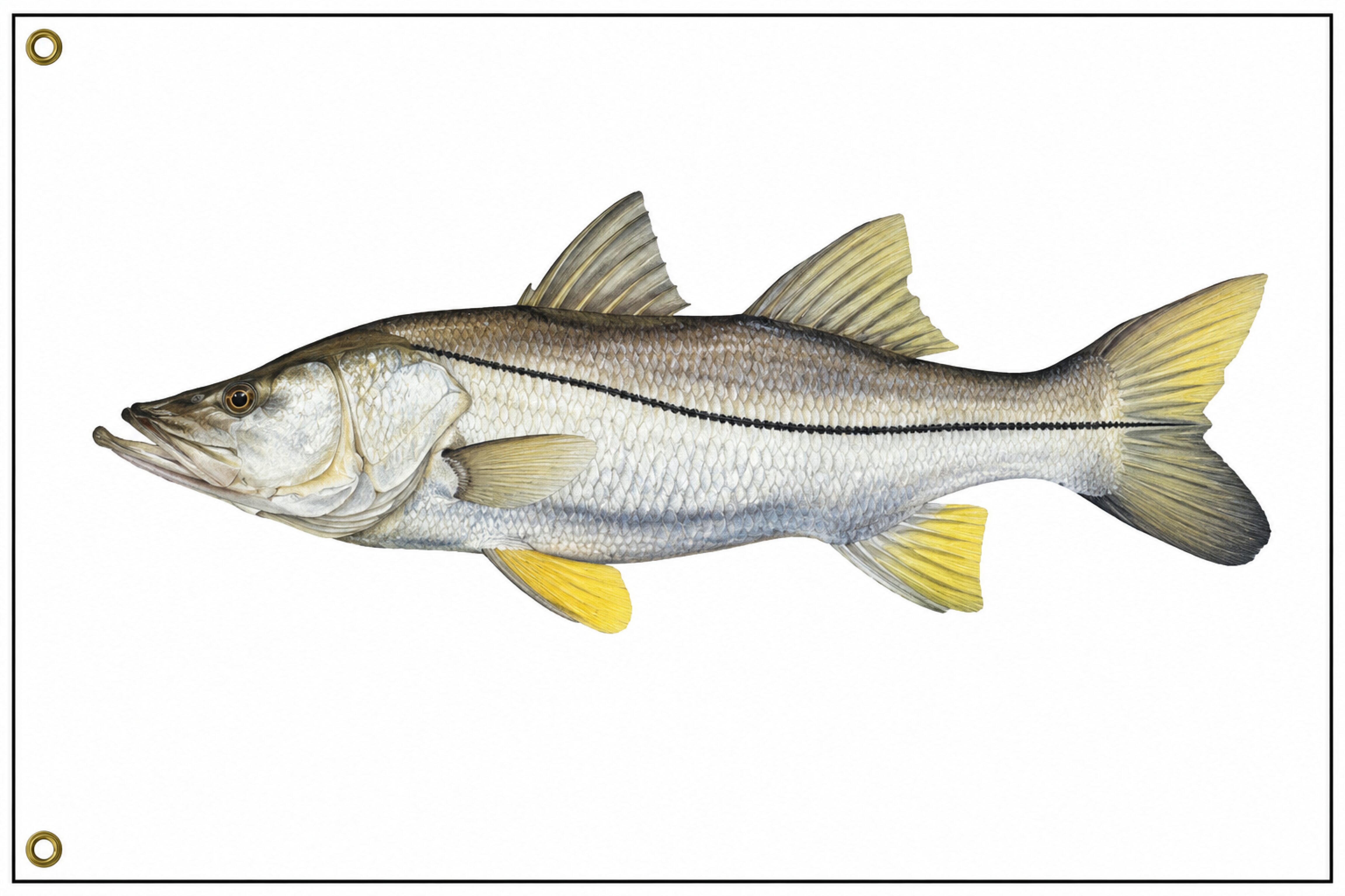 SNOOK FISH FLAG