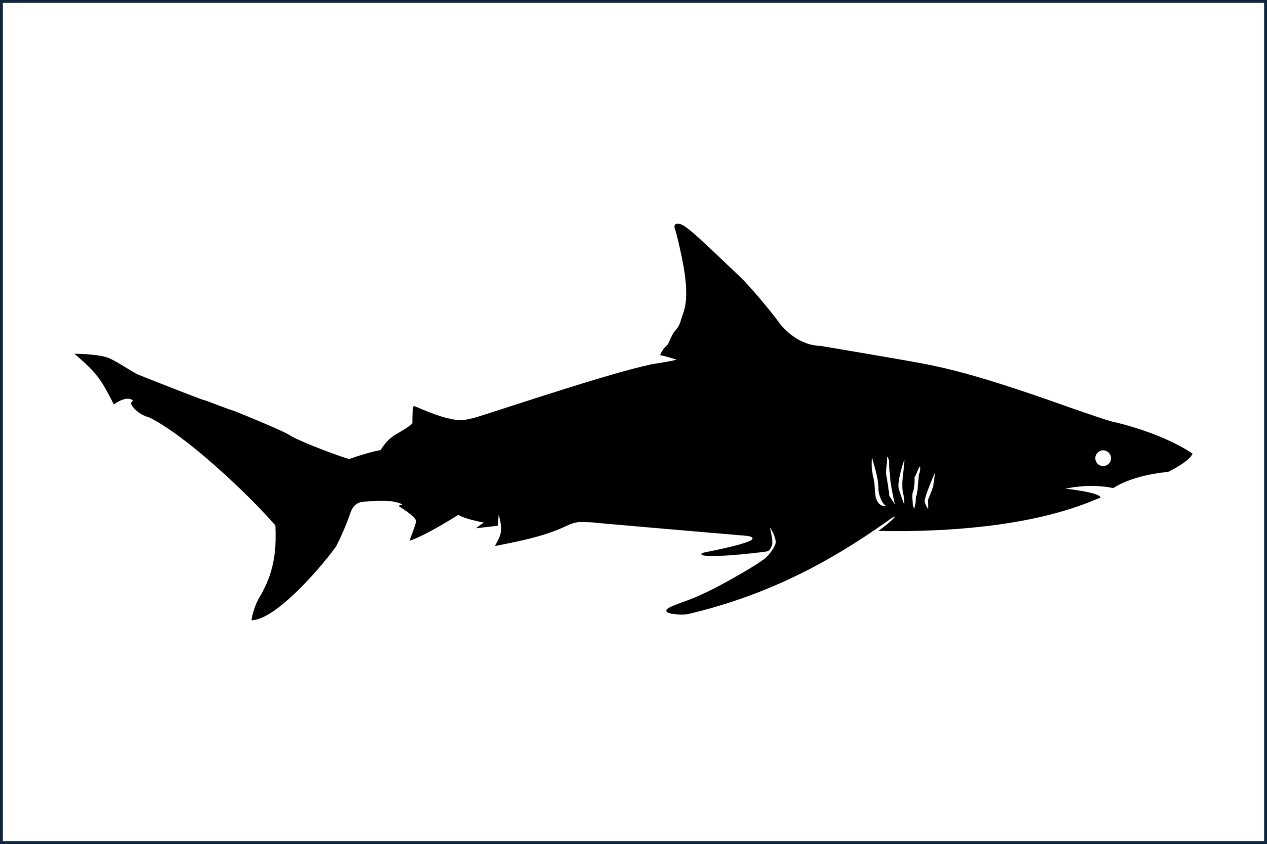 BLACK TIP SHADOW SURF FLAG