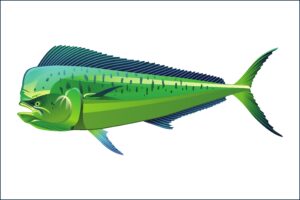 MAHI TIME