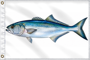 BLUEFISH | LIFE SERIES™